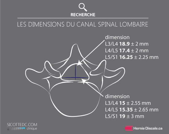 Dimension du canal vertébrale lombaire. Les mesure en millimetre.